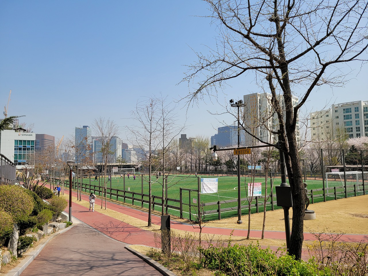 随着谢苏的 随着谢苏的