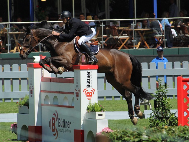 驱动力之一 驱动力之一